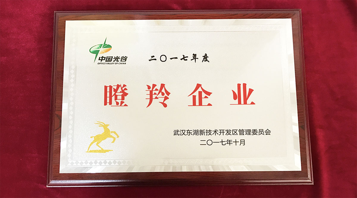 祝賀武漢邁信電氣技術(shù)有限公司榮獲中國光谷2017年度“瞪羚企業(yè)”！